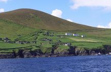 Dingle to Blasket Island Ferry