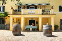 Winery Tour & Wine Tasting at a Family Winery