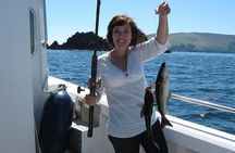 Sea Fishing 2 hour