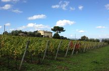 Winery tour and wine & cheese tasting