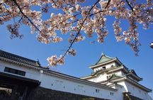 Wakayama Castle Town Walking Tour