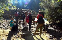 Leonardo da Vinci's path