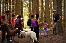 Leonardo da Vinci's path