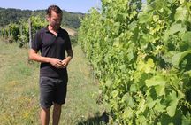 Winery tour and wine, cheese & charcuterie tasting