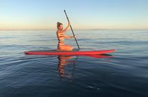 Stand up Paddle Board in Malibu