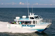 Naples 6 Hour Deep Sea Fishing