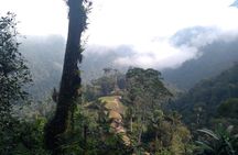 Lost City Trek 4 days - 3 nights