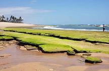 Ivan Bahia, private beach-tour, swim with turtles, visit Imbassai & Praia Forte