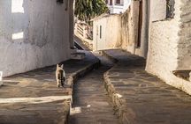 Discovering Las Alpujarras, departures from Málaga /Semi-Private