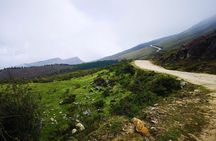 Private Tour - Páramo de Santurban (Nature)