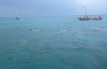 Paje Beach & Blue Lagoon Half Day Tour in Zanzibar