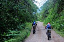 Machu Picchu Tour 4 Days The Lost Adventure in the Inca Jungle