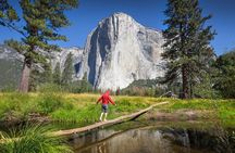 Yosemite National Park and Giant Sequoias Tour from San Jose