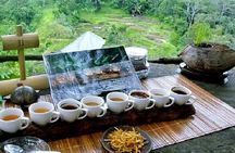 Ubud: White Water Rafting with visit Ubud Monkey Forest 