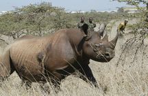 Amboseli National Park: Full Day Tour From Nairobi