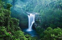 Full-Day : Kintamani Volcano - Jungle Swing - Rice Terrace - Waterfall - Temple 