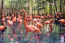 Private Aviary Tour with Lunch Included