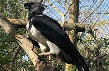 Private Aviary Tour with Lunch Included