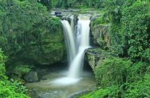 Bali Full Day Tours: Kintamani VOLCANO - Ubud - WATERFALL - TANAH LOT SUNSET