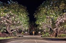 Manila by Night: Discovering City Highlights with Intramuros 