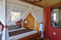 8 days kenya Tanzania combined holiday safari adventure