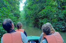  3 Days 2 Nights Tanjung Bulat Jungle Camp With Gomantong cave 