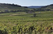 Beaujolais wine tour from Lyon half day