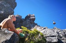Table Mountain Half Day Hike: India Venster Trail