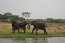 2 days Queen Elizabeth National Park Safari