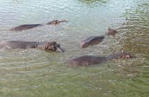 2 days Queen Elizabeth National Park Safari