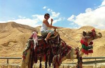 Dead Sea Relaxation & Bedouin hospitality - Tiny group from Tel Aviv