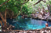 Hot Spring Day Trip