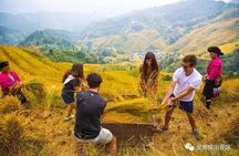 Longji rice terraces & minority villages private day tour