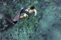 Snorkeling Fun Adventure in Athenian Riviera