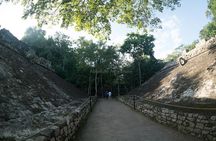 Coba Private Tour with Cenote from Tulum