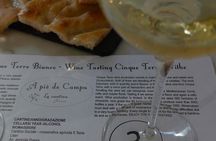 vineyard tour & wine tasting