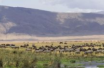 Ngorongoro Crater Day Trip