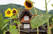 Private transfer Kanazawa to Takayama Including Shirakawago