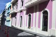 Let me show you MY Island Tour With visit to El Yunque 