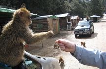 Middle Atlas Mountain FULL Day Trip From Fes - Private transportation