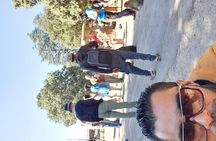 Private Day Trip From Fes to Middle Atlas 