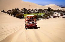 Full Day Ballestas Islands + Huacachina, the oasis of America + Ica Desert