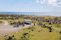 Estancia San Lorenzo: Home of the Largest Penguin Colony