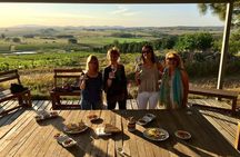 Visit 2 wineries in a day