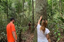 A Whole Day in the Jungle