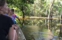 A Whole Day in the Jungle