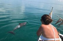 Private Afternoon Charter Boat Tour from Key West