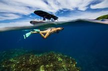 Premium Kona Coast Morning Snorkel