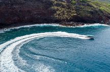 Premium Kona Coast Morning Snorkel