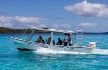 Bora Bora Eco Snorkel Cruise Including Snorkeling with Sharks and Stingrays